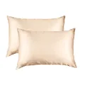 Royal Comfort Pillowcase Set Mulberry Silk Breathable Ultra Soft For Hair and Skin 51 x 76cm In Gift Box (Champagne Pink, Set of 2)
