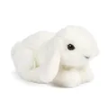 Living Nature Soft Toy - Plush Pet Animal, Small White Lop Eared Bunny (18cm) - Realistic Soft Toy with Educational Fact Tags