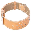 Dingo Designed Leather Dog Collar, Lined with Felt, Decorative Studs, Durable, Natural Colour 12489