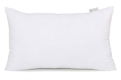 Acanva Polyester Decorative Rectangle Throw Pillow Inserts, Hypoallergenic Form Stuffer Cushion Sham Filler, 16x26, White, 1 Count (Pack of 1)
