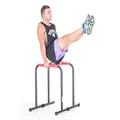Powertrain Sports Pair Dip Bar Parallette Stand Workout Station