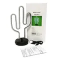 EOE Cactus Shape LED Neon Table Lamp with USB Cable