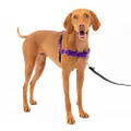 PetSafe Easy Walk No-Pull Dog Harness - The Ultimate Harness to Help Stop Pulling - Take Control & Teach Better Leash Manners - Helps Prevent Pets Pulling on Walks - Medium, Deep Purple/Black