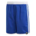 Adidas Boy's 3-Stripes Swim Shorts, Blue, 13-14 Years Size