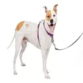 PetSafe 3 in 1 Harness and Car Restraint, Medium, Plum, No Pull, Adjustable, Training for Small/Medium/Large Dogs