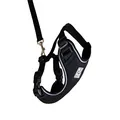 RC Pet Products Adventure Kitty Harness, Cat Walking Harness, Small, Black (53803001)