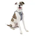 Kurgo Dog Harness | Pet Walking Harness | No Pull Harness Front Clip Feature for Training Included | Car Seat Belt | Tru-Fit Quick Release Style | Medium | Grey
