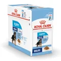Royal Canin Canine Maxi Puppy Wet Dog Food 10x140g