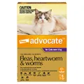 Advocate Cat, Monthly Spot-On Protection from Fleas, Heartworm & Worms, Six Pack Flea Treatment for Cats Over 4 kg, 6 Pack
