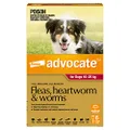 Advocate Dog, Monthly Spot-On Protection from Fleas, Heartworm & Worms, Six Pack Flea Treatment for Large Dogs 10-25 kg, 6 Pack