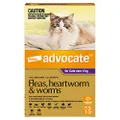 Advocate Cat, Monthly Spot-On Protection from Fleas, Heartworm & Worms, Three Pack Flea Treatment for Cats Over 4 kg, 3 Pack