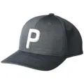 Puma Golf 2020 Men's P Hat