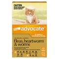 Advocate Cat, Monthly Spot-On Protection from Fleas, Heartworm & Worms, Three Pack Flea Treatment for Kittens & Small Cats up to 4 kg, 3 Pack