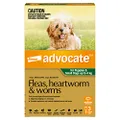 Advocate Dog, Monthly Spot-On Protection from Fleas, Heartworm & Worms, Three Pack Flea Treatment for Puppies & Small Dogs up to 4 kg, 3 Pack