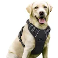 Rabbitgoo Dog Harness No-Pull Pet Harness Adjustable Outdoor Pet Vest 3M Reflective Oxford Material Vest for Dogs Easy Control for Small Medium Large Dogs, Black, L