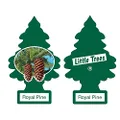Little Trees Royal Pine Air Freshener