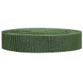 Strapworks Heavyweight Polypropylene Webbing - Heavy Duty Poly Strapping for Outdoor DIY Gear Repair, 1 Inch x 25 Yards - Olive Drab