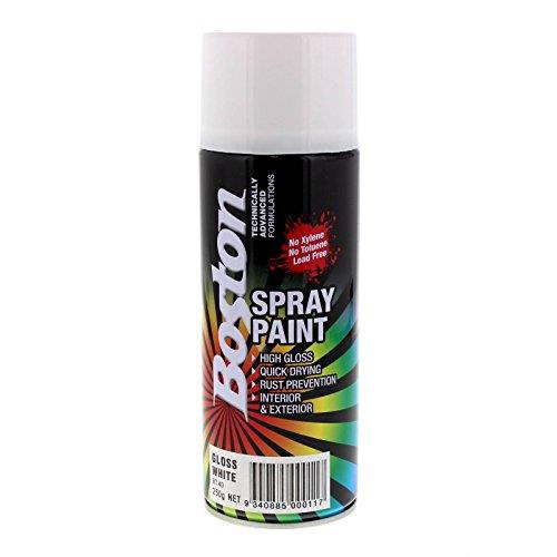 Boston Spray Paint 250 g, Gloss White