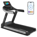 Lifespan Fitness Marathon Commercial Treadmill, Black