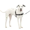 PetSafe Easy Walk Dog Harness, No Pull Dog Harness – Perfect for Leash & Harness Training – Stops Pets from Pulling and Choking on Walks – Medium/Large, Charcoal/Black