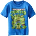 Freeze Teenage Mutant Ninja Turtles Little Boys' Toddler Group T-Shirt, Royal Heather, 2T