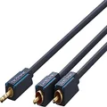 Clicktronic 3.5mm AUX to RCA Adapter Coaxial Audio Stereo RCA Cable, Black, 1 Metre Length