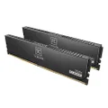 TEAMGROUP T-Create Classic 10L DDR5 32GB Kit (2 x 16GB) 6000MHz (PC5-48000) CL48 Desktop Memory Module Ram, Supports Both Intel & AMD - CTCCD532G6000HC48DC01
