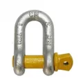 Cargo Mate Rated D Shackle, 2000 kg Capacity