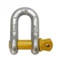 Cargo Mate Rated D Shackle, 1250 kg Capacity