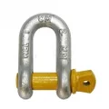 Cargo Mate Rated D Shackle, 1600 kg Capacity