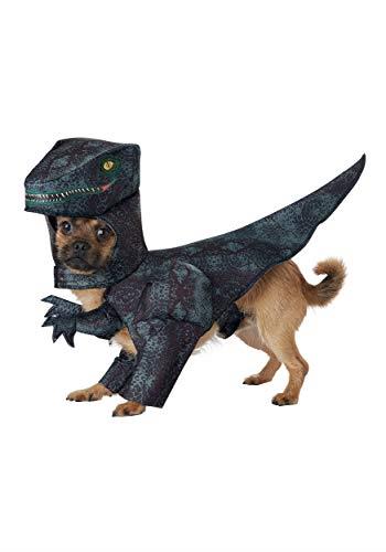 Dog Pupasaurus Rex Costume Medium