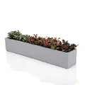 Ten-stone 14.5-Inch Grey Rectangle Concrete Succulent Planter Windowsill Boxes