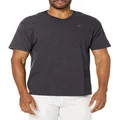 Champion Men's Classic Jersey V-neck T-shirt Shirt, granite heather, Small US