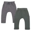 LAMAZE Baby Boys' Super Combed Natural Cotton Pull on Jogger Pants, 2 Pack, Grey/Green, 12 Months