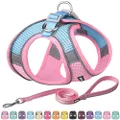 AIITLE Step in Dog Harness and Leash Set - Reflective No-Pull Pet Vest Harness with Super Breathable Mesh for Outdoor Walking, Training for Small Dogs, Cats Pink XXS