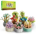 JMBricklayer Succulent Bonsai Botanical Collection Building Set, Plants Office & Room Decor Succulents Flowers Building Toys, Creative Building Project for Adults, Gifts for Girls Women(750 Pieces)