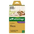Advantage Fleas for Cats Over 4kg - 1 Pack