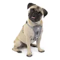 Kurgo Dog Harness | Pet Walking Harness | No Pull Harness Front Clip Feature for Training Included | Car Seat Belt | Tru-Fit Quick Release Style | Small | Grey
