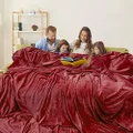 LaSyL Oversized King 120 x 120 Inches Blanket,10'x 10' Extra Large Soft Warm Flannel Fleece Thick Throw Blanket Plush Microfiber Fluffy Bedding Comforter for Couch/Bed/Sofa Outside Campaign Red