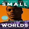 Small Worlds: THE TOP TEN SUNDAY TIMES BESTSELLER