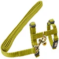 Living World Adjustable Harness and Lead Set for Ferret, Green