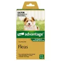 Advantage Fleas for Puppies & Small Dogs up to 4kg - 1 Pack