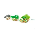 Hape Pull-Along Frog Family Educational Fun Activity Kids/Toddler Play Toy 12m+
