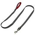 Franklin Pet Supply Nylon Dog Leash – Reflective – Comfort Fit – Neoprene Handle – 6 Foot – Dog Training – Walking – Red