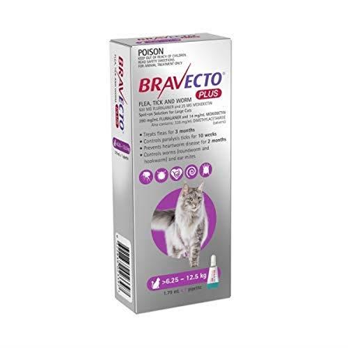 BRAVECTO CAT PLUS 500 MG 6.25 - 12.5KG PURPLE
