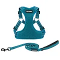 Best Pet Supplies Voyager Adjustable Dog Harness Leash Set with Reflective Stripes for Walking Heavy-Duty Full Body No Pull Vest with Leash D-Ring, Breathable All-Weather - Harness (Turquoise), S