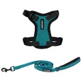 Voyager Step-in Lock Adjustable Cat Harness w. Cat Leash Combo Set with Neoprene Handle 5ft - Supports Small, Medium and Large Breed Cats by Best Pet Supplies - Turquoise/Black Trim, XXXS