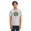 The North Face Boys’ Short Sleeve Graphic Tee, TNF Light Grey Heater/LED Yellow, X-Small