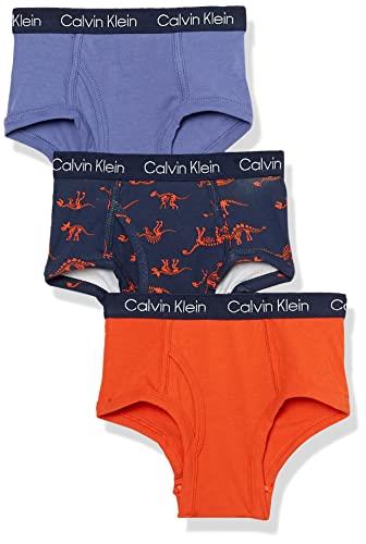 Calvin Klein Boys' Modern Cotton Assorted Briefs Underwear, Blue/Marl/Samb, X-Large