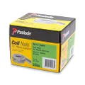 Paslode Ring Hot Dipped Galvanised Plastic Collated Coil Nails 400 Pieces Pack, 50 mm Length x 2.5 mm Diameter
